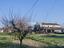 Immagine 8