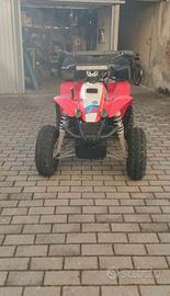 Quad Polaris 