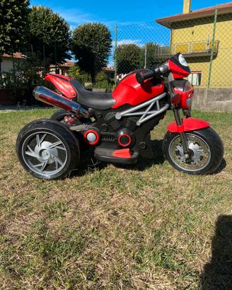 Moto elettrica a tre ruote per bambini -colibrì