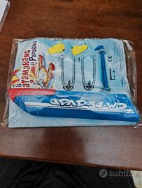 il catamarano di paperino