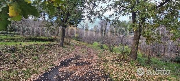 Terreno 22.260 mq con rustici a sant'alfio - Altro