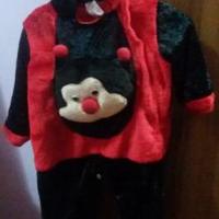 Costume da coccinella usato