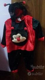 Costume da coccinella usato
