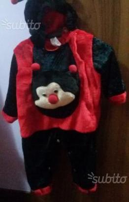 Costume da coccinella usato
