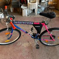 Bicicletta Atala