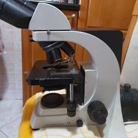Microscopio Optika