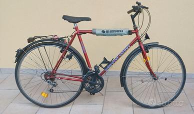 Bici da Trekking uomo