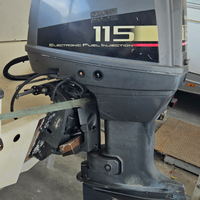 Motore fuoribordo 115