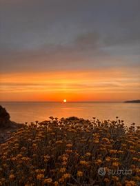 Camere vacanze mare Stintino