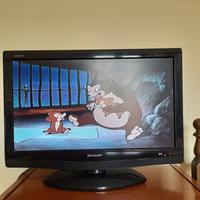 tv Sharp 22 pollici con lettore dvd