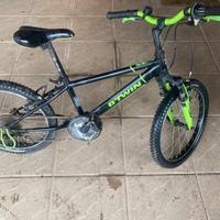 Bicicletta per ragazzi 5/9anni