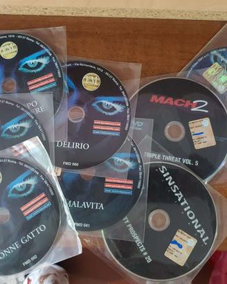 8 film dvd solo disco