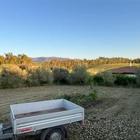 Rimorchio per auto