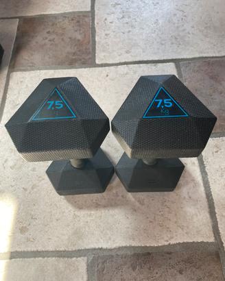 Pesi gommati da 7,5 kg