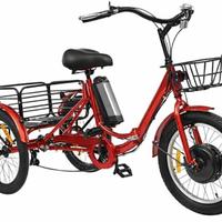 Bici elettrica a 3 ruote per adulti