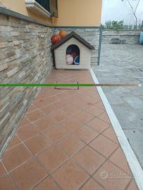 Cuccia per cane seminuova 