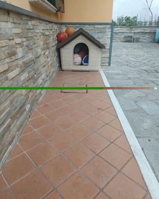 Cuccia per cane seminuova 