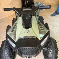 Quad feber