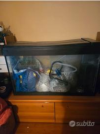 Acquario