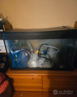 Acquario