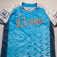 Seibu Lions baseball Japan 