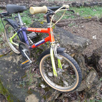 Mountain Bike ghiaroni per bambino