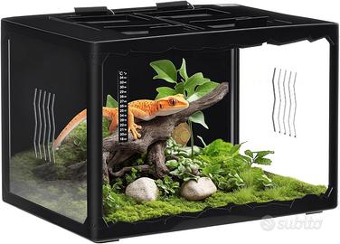 terrario per rettili