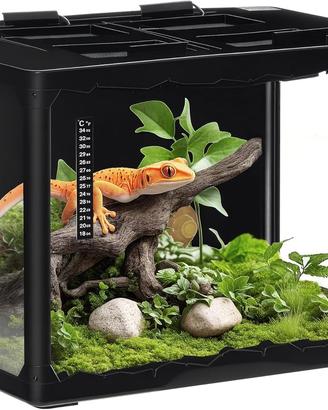 terrario per rettili