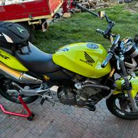 Hornet 600
