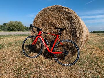 Bottecchia 8AVIO carbonio