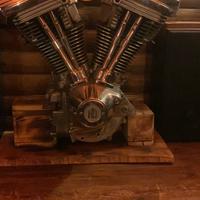 Motore harley davidson evolution primarie cambio