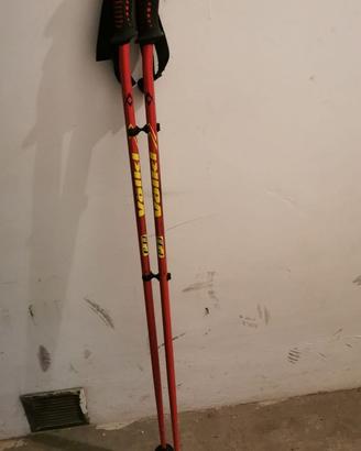 bastoncini sci