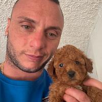 Barboncini nanetti piccoli