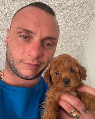Barboncini nanetti piccoli