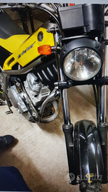 Yamaha Tricker 250 - 2006 GIALLA PERFETTA