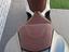 Immagine 13