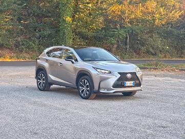 Lexus NX 300h Hybrid 4WD CV-197 F-Sport E6 Automat