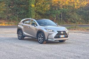 Lexus NX 300h Hybrid 4WD CV-197 F-Sport E6 Automat