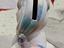 Immagine 4