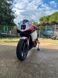 Cbr 1000rr 2008 pista