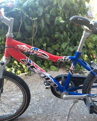 Bici Atala 