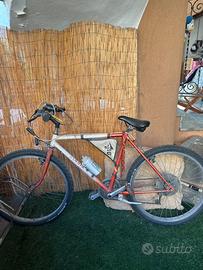 Bici rampichino
