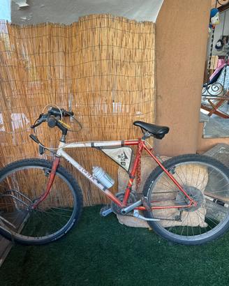 Bici rampichino