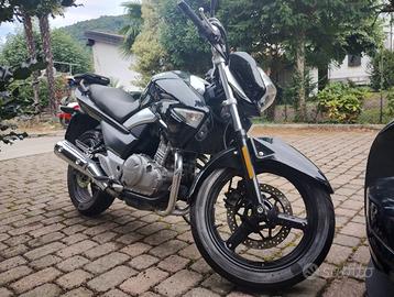 Suzuki Inazuma 250 - 2023
