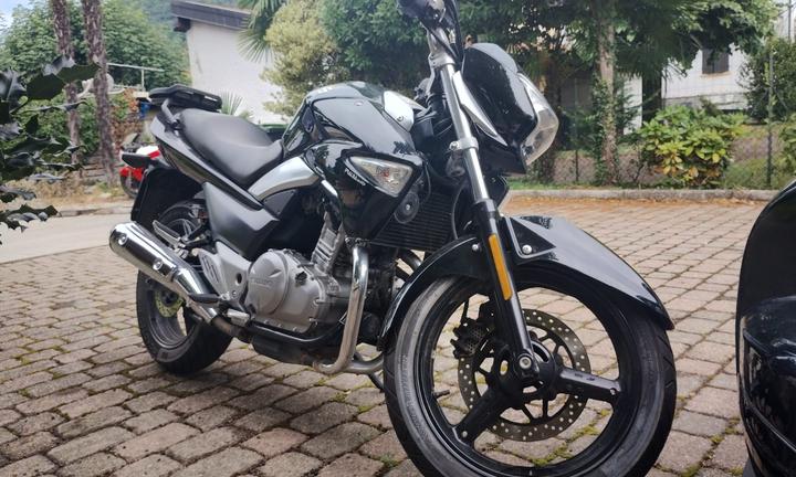 Suzuki Inazuma 250 - 2023