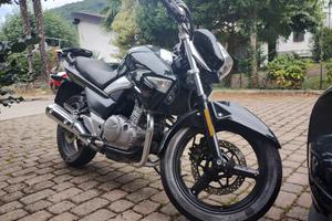 Suzuki Inazuma 250 - 2023