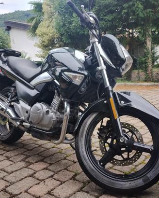Suzuki Inazuma 250 - 2023