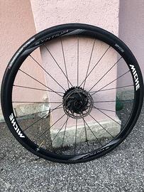 Coppia Ruote Miche a Disco Syntium - Shimano