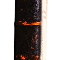 Le Signorie Italiane - Vintage Raro