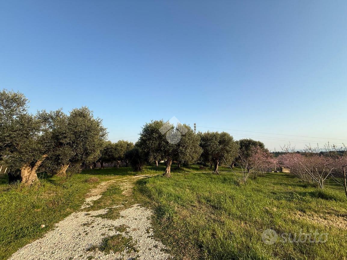 TER. AGRICOLO A GUIDONIA MONTECELIO - View 3